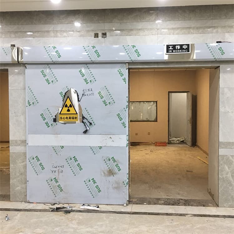 定兴双扇电动防护铅门